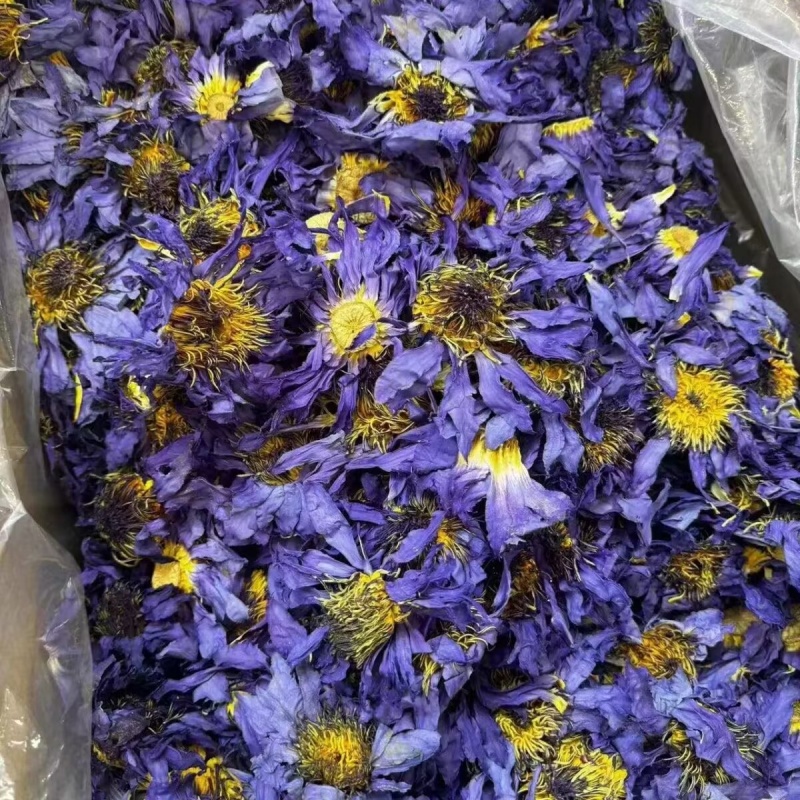 Natural Lotus Blossom Aromatic - Candle Making And Perfume ulasan dan harga
